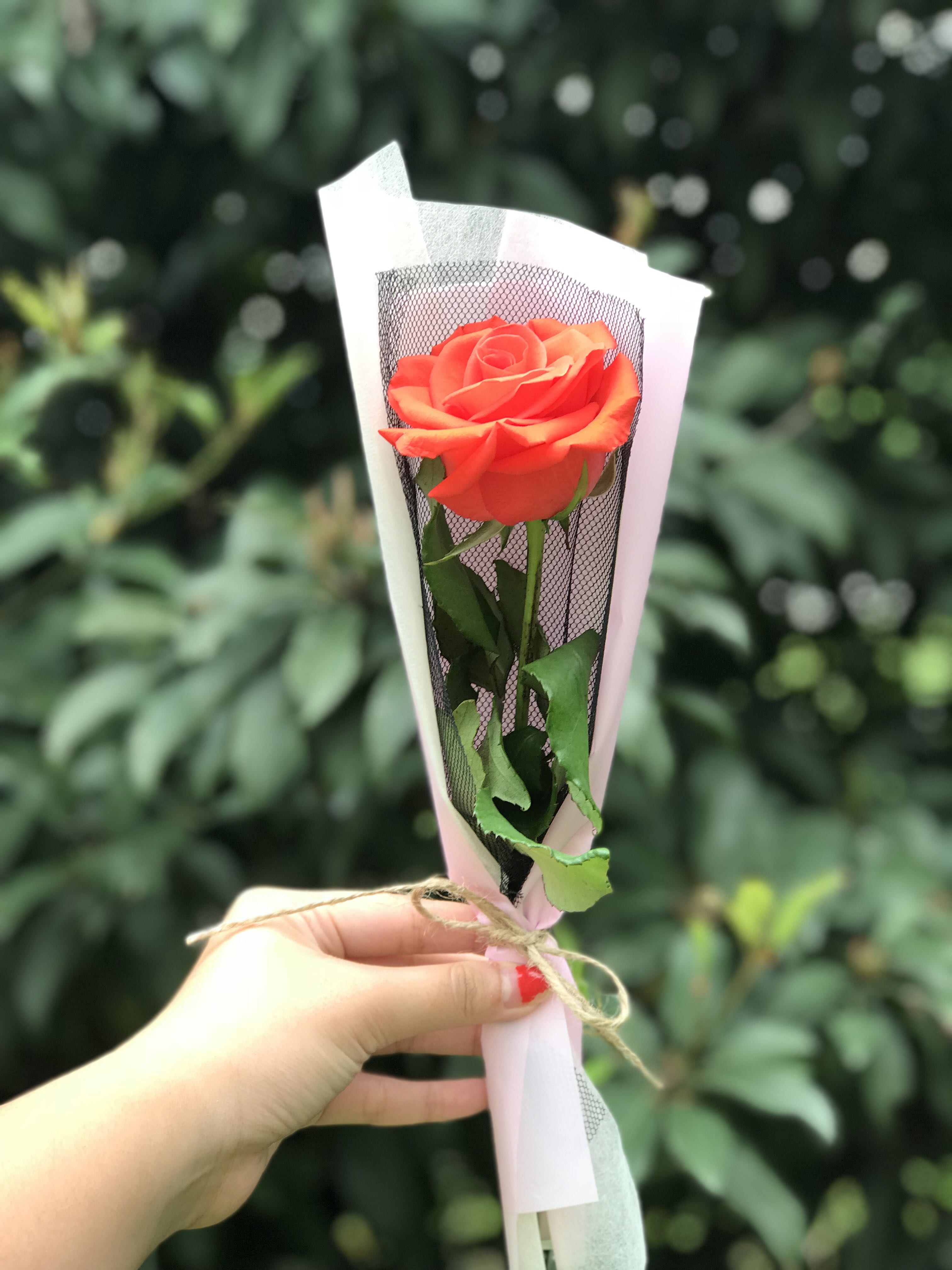 Single Rose Bouquet Gardening Flowers Bouquets On Carousell