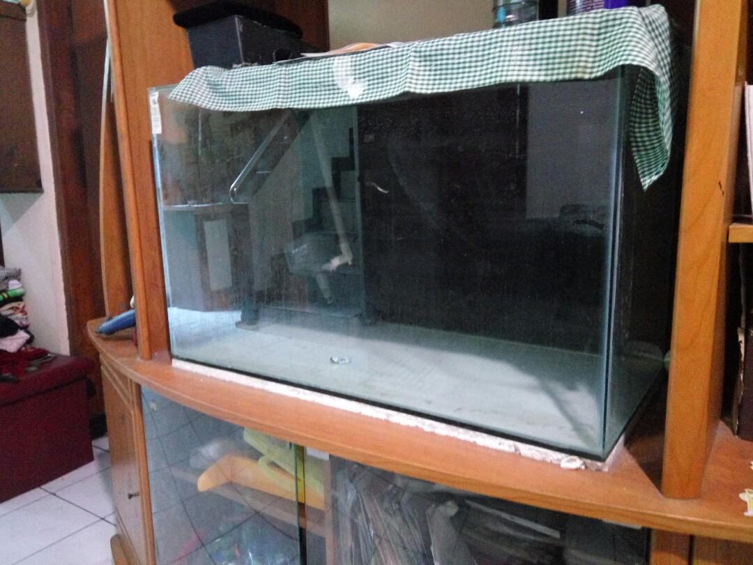 Akuarium Aquarium 80 50 40 Cm Perlengkapan Hewan Aksesoris Hewan Di Carousell Akuarium Aquarium 80 50 40 Cm Perlengkapan Hewan Aksesoris Hewan Di Carousell