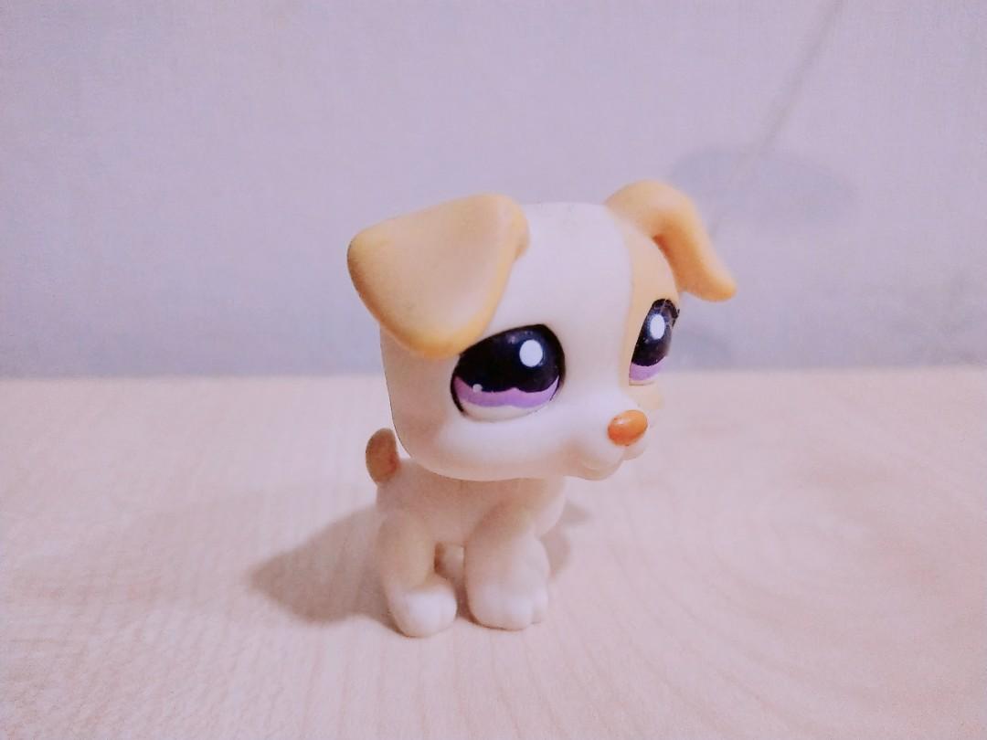 LPS Jack Russel Old Generation LITTLEST PET SHOP Hobbies Toys