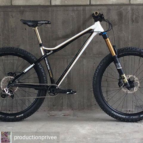 Production Privee Shan GT Esprit Frame Size S Brand New Imported mountain bike mtb
