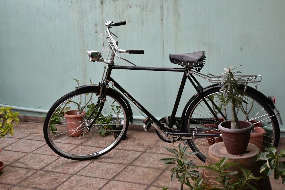 the flying pigeon bicycle