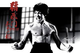 bruce lee fury