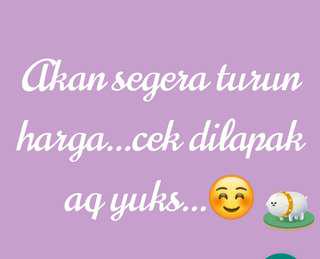 Yuk cek dilapak aq...akan segera turun harga