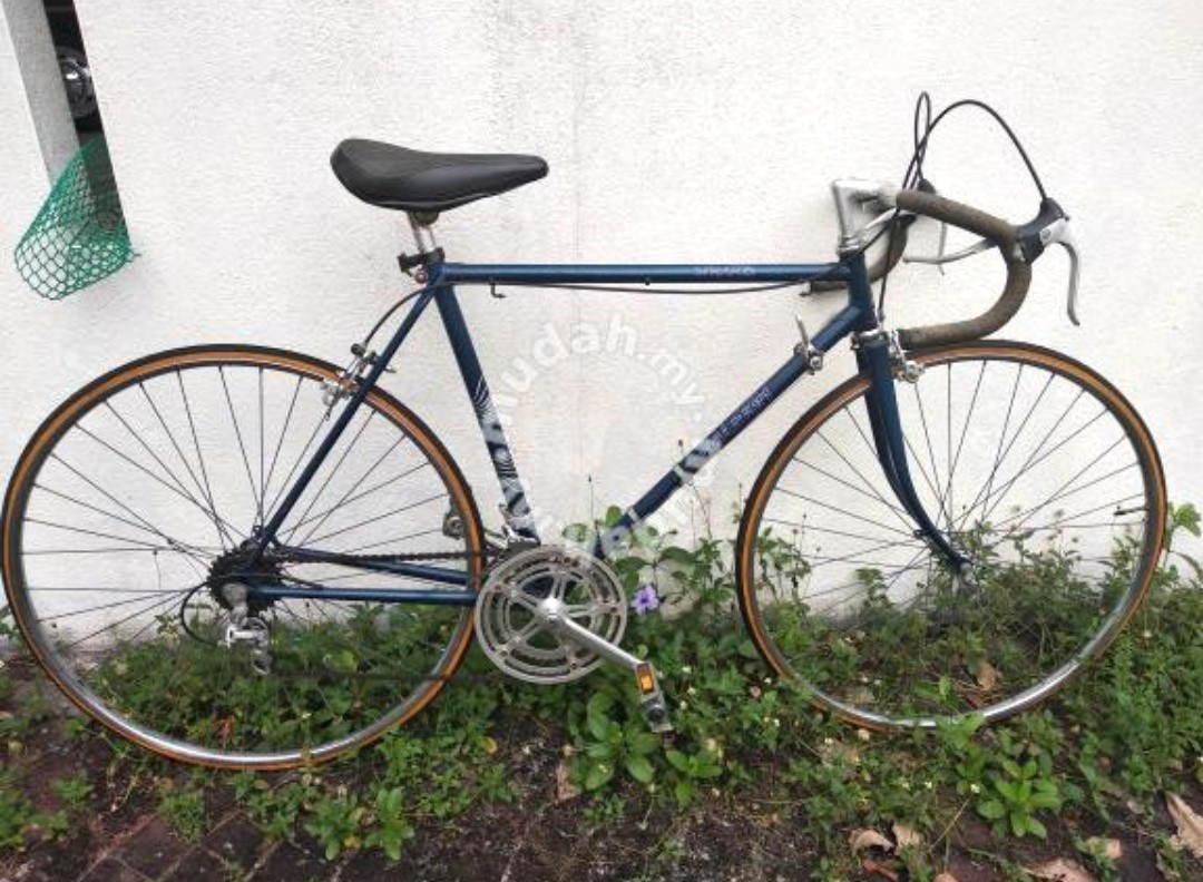 Raleigh stratos sales road bike