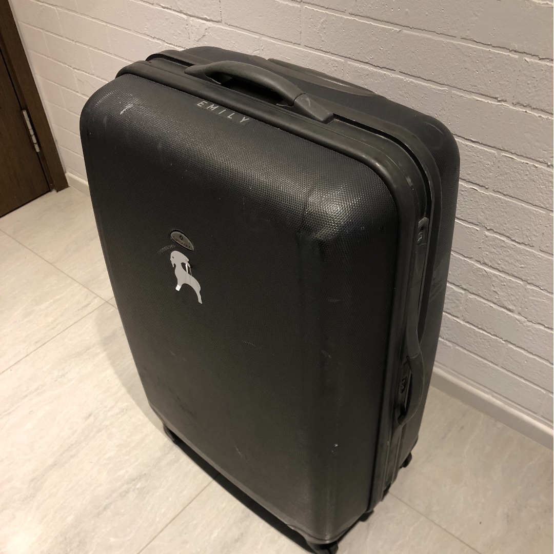Samsonite luggage 30 inch sales