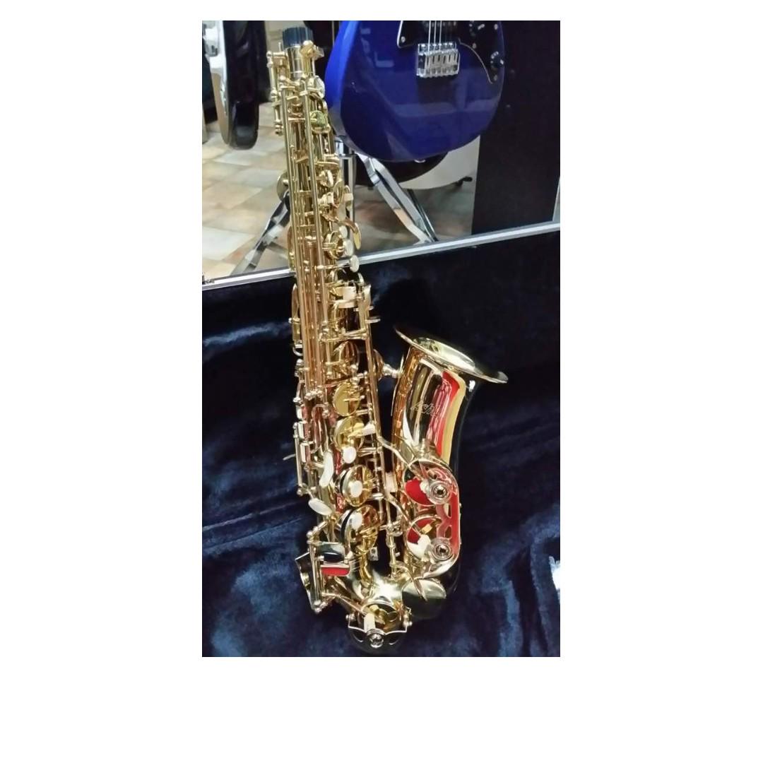 Ashton Alto Saxaphone SX 10
