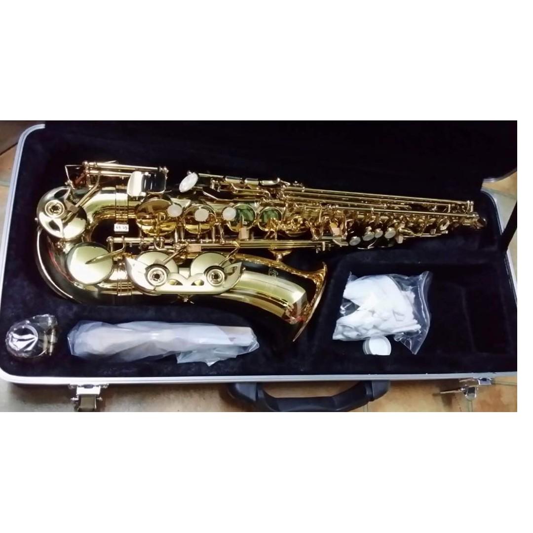 Ashton Alto Saxaphone SX 10