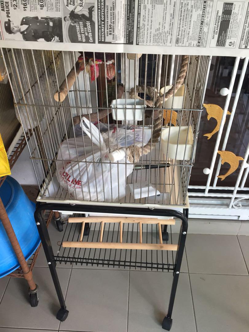 stand up bird cages