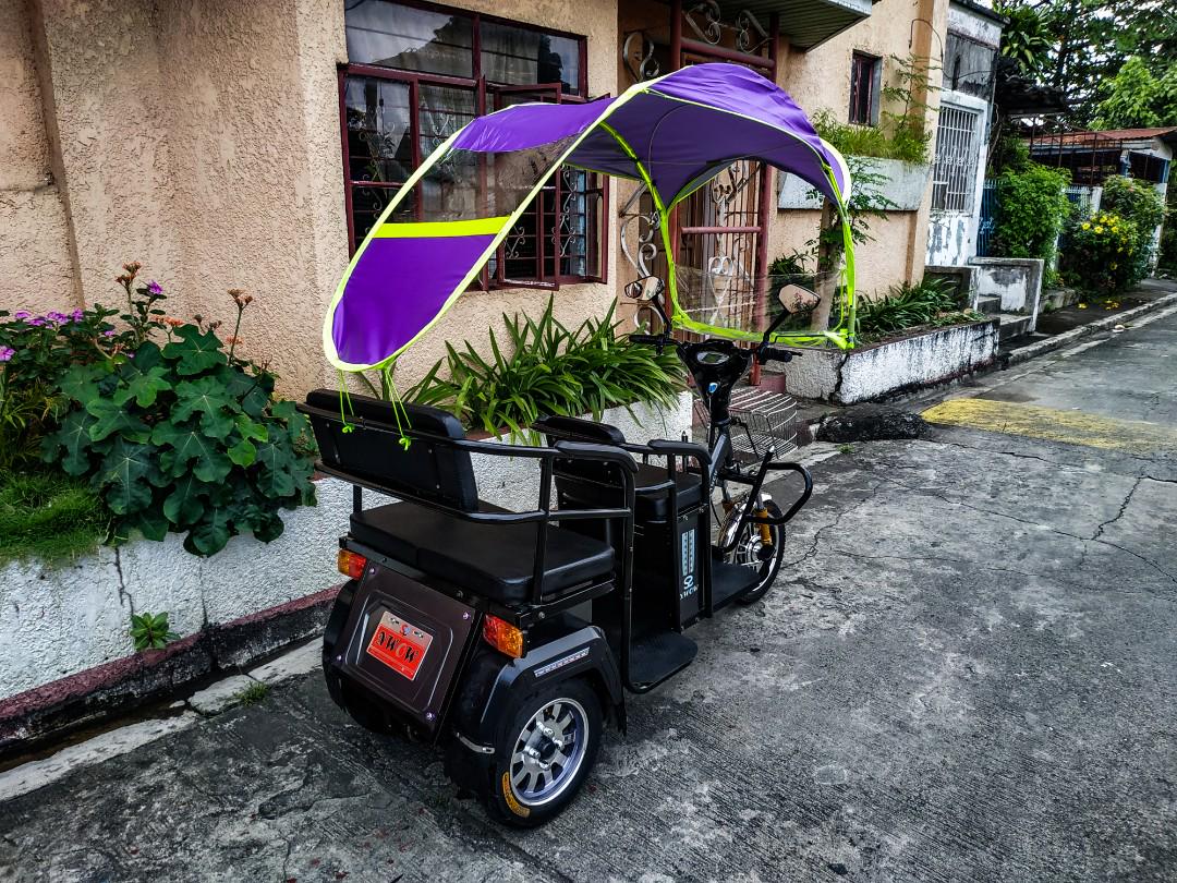Erv ebike top for sale