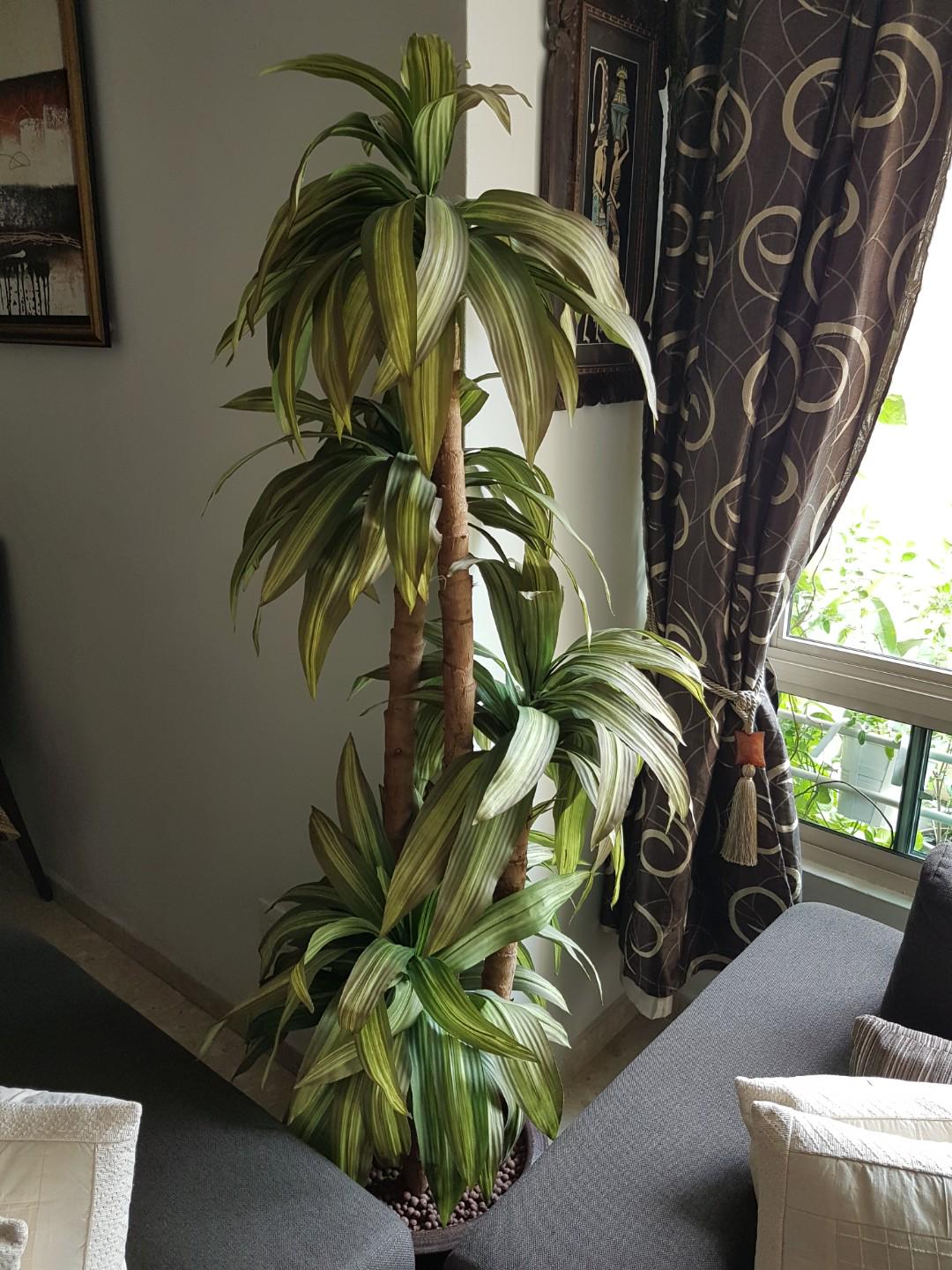 Indoor Tall Artificial Plant With Pot And Leica Beeds Gardening
