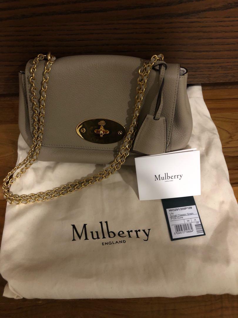 Mulberry lily 2025 dune