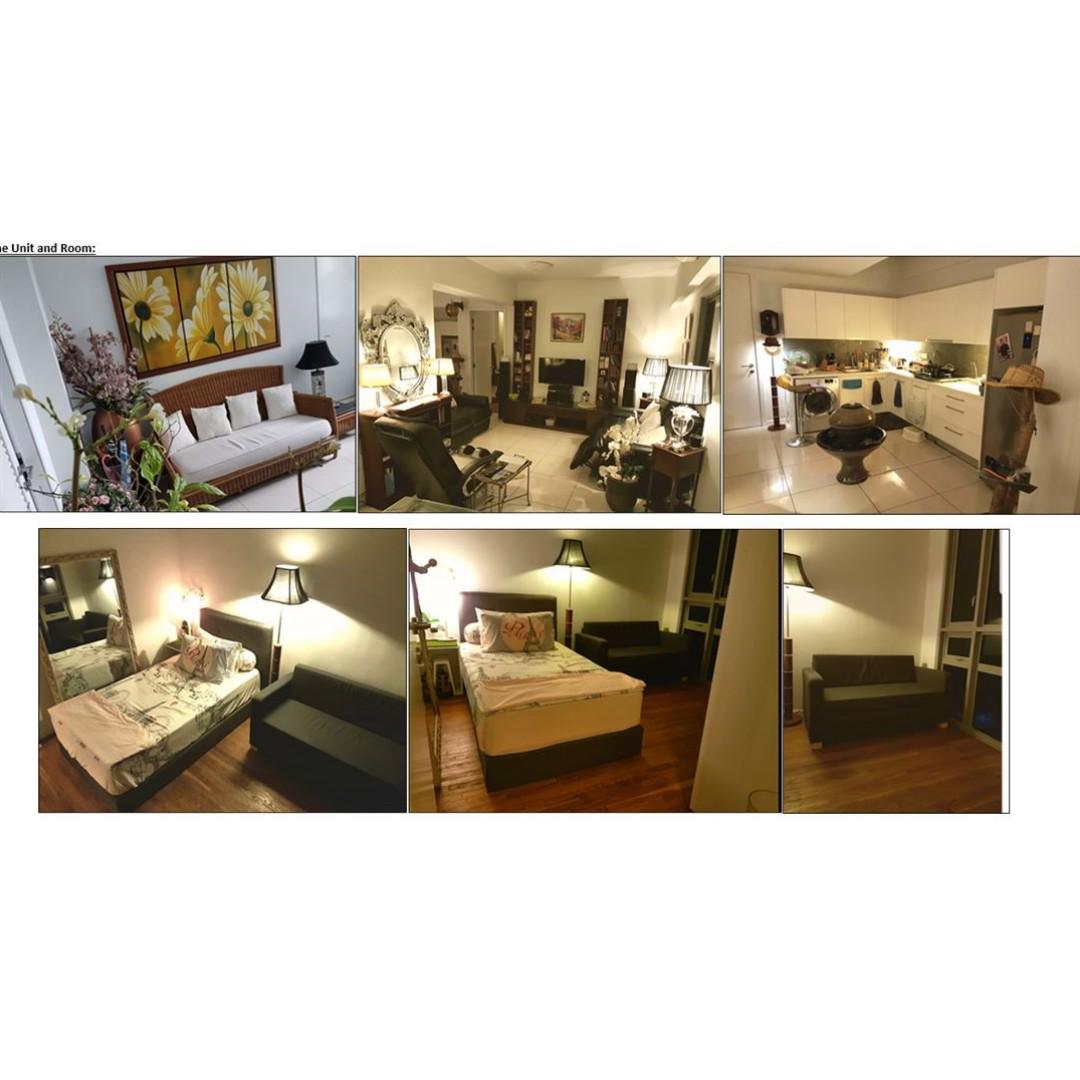 Room For Rent Kota Damansara Plant Lover Music Lover