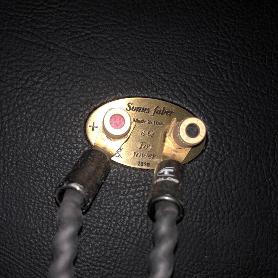 sonus faber toy tower