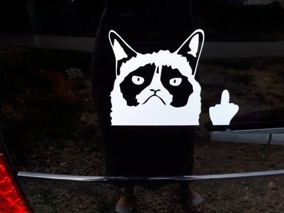 Car Decal Sticker Cut Grumpy Cat Claw Nail Middle Finger Flipping Off Cute Car Sticker 3322 Car Accessories Accessories On Carousell