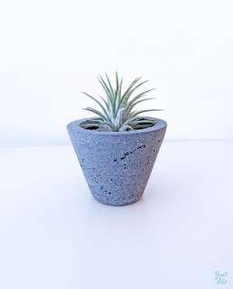 Concrete Planter : Cone with air plant and pebbles