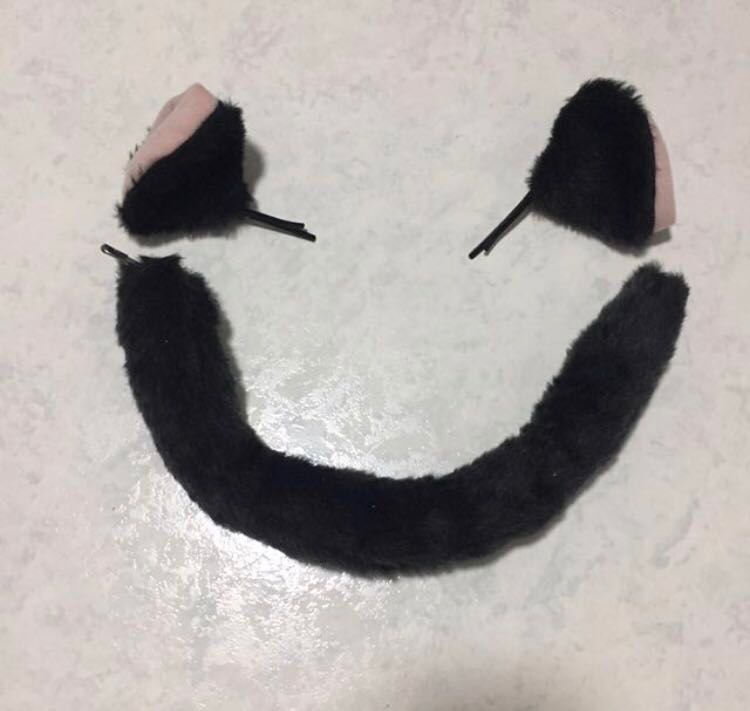 Cosplay Cat Ears And Tail Everything Else On Carousell