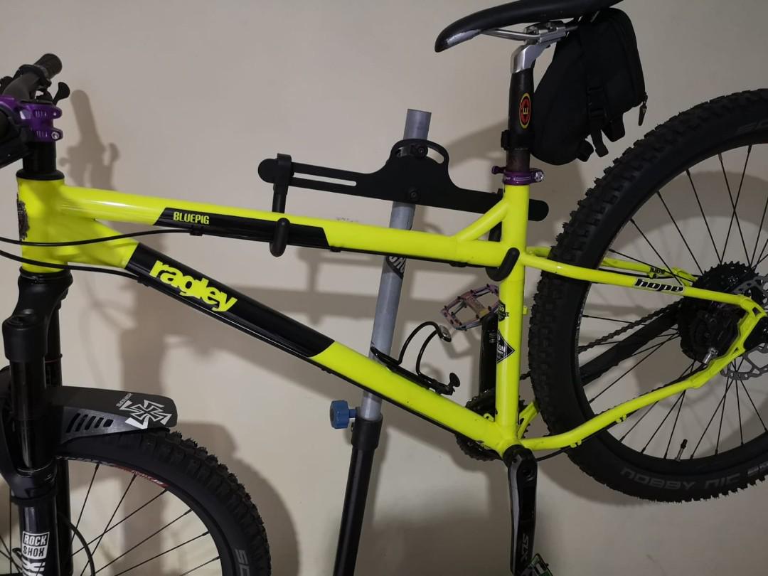 Ragley blue pig 2017 cheap
