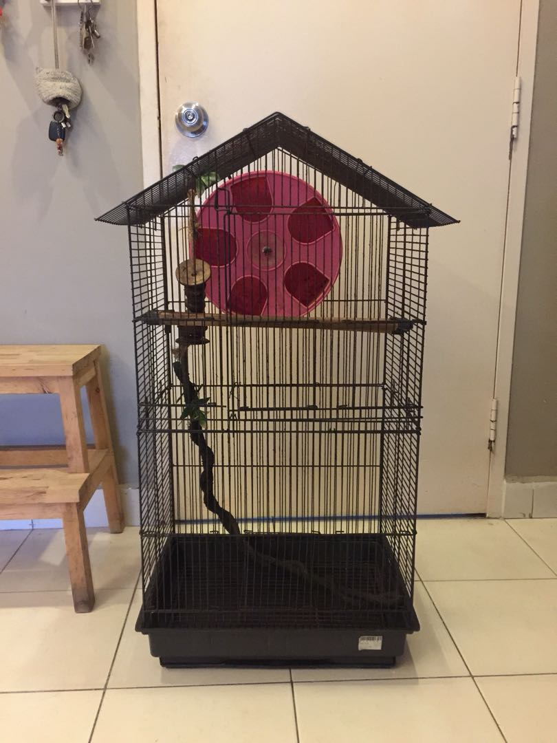 Tall cage for sugar glider and bird including big running wheel