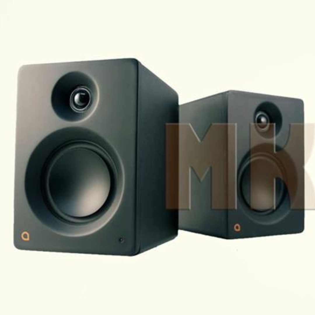 monitor sound box