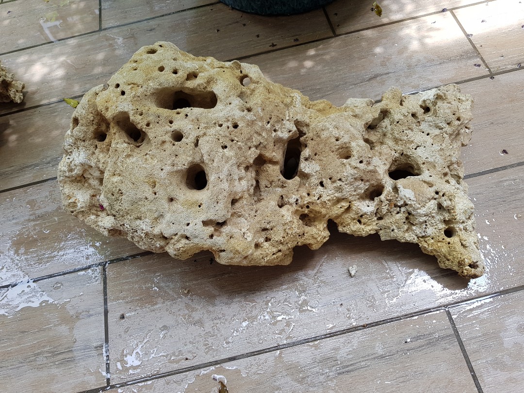 Coral Rock For Sale Pet Supplies For Fish Fish Tank Accessories On Carousell
