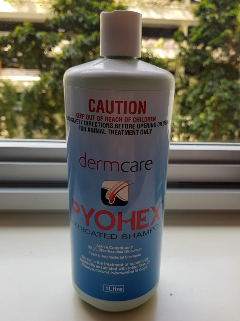 pyohex dog shampoo