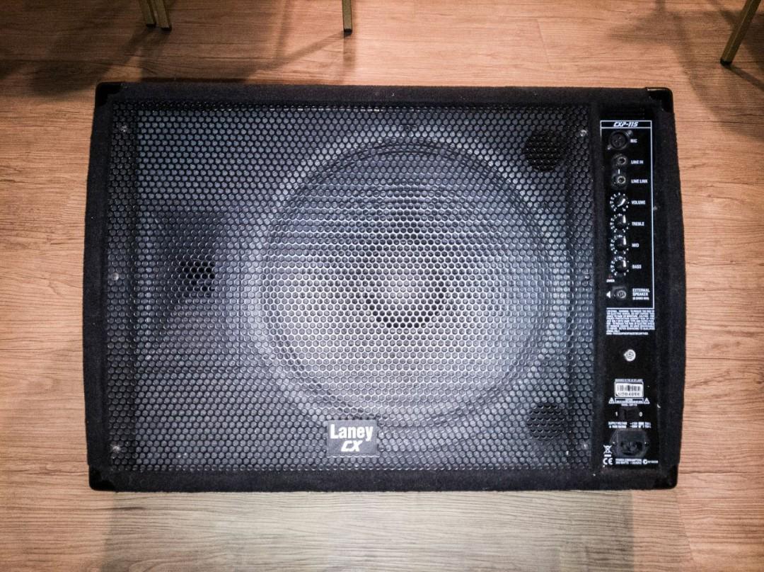 laney monitor speakers