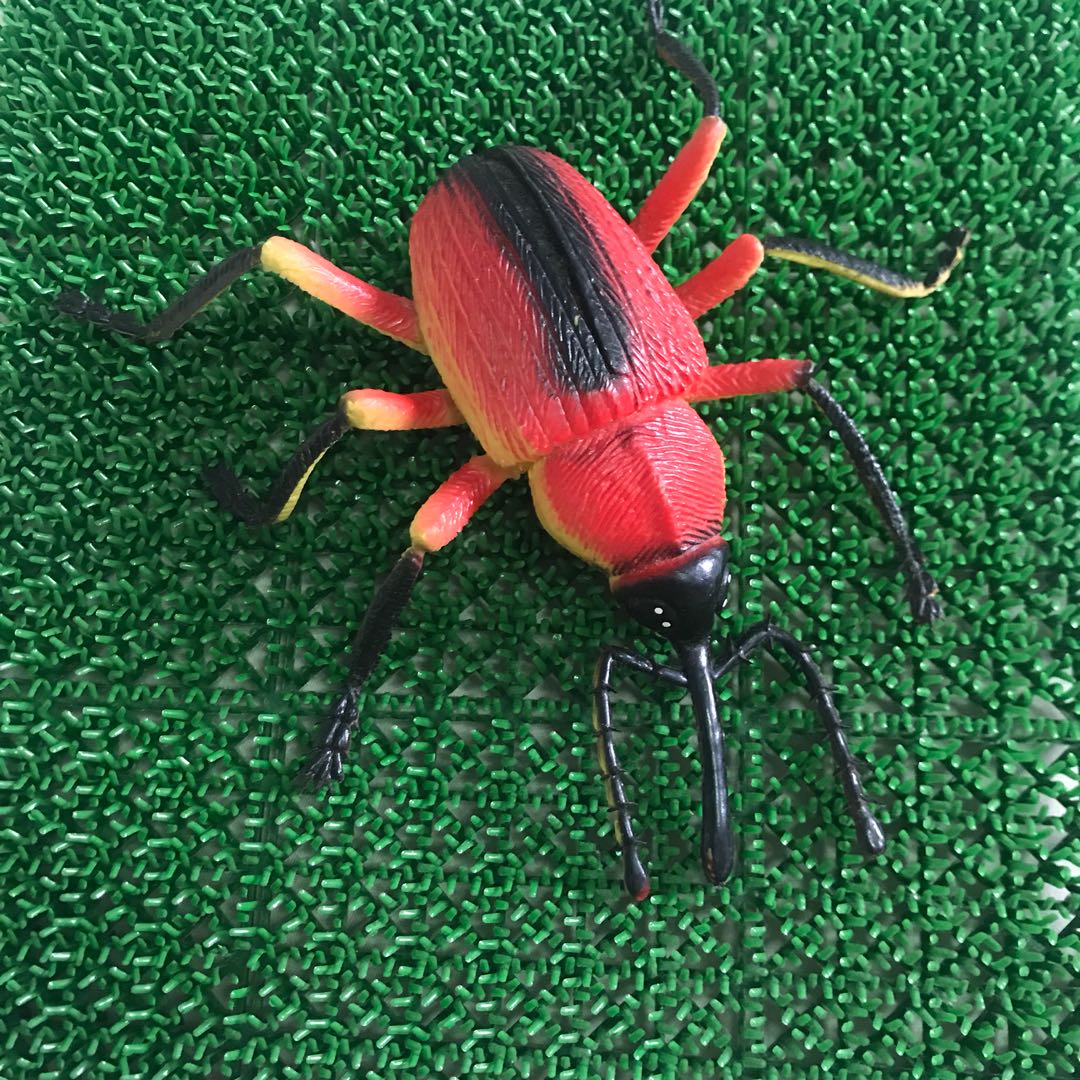 Rubbery Insect Rubber insect, Everything Else on Carousell