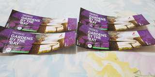 Gardens by the Bay- OCBC Skyway