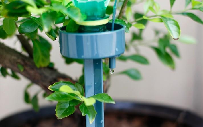 Automatic Self Watering Dripping Device Alatan Kebun Automatik Siram Tanaman Home Furniture Gardening On Carousell