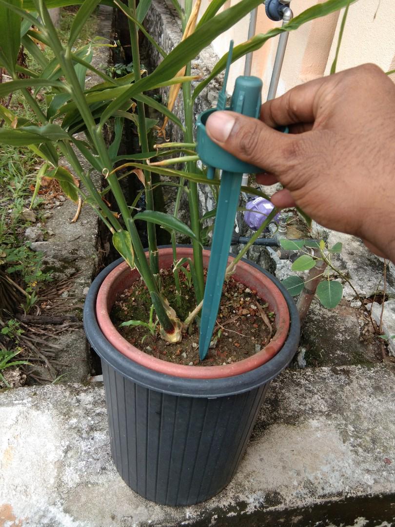 Automatic Self Watering Dripping Device Alatan Kebun Automatik Siram Tanaman Home Furniture Gardening On Carousell