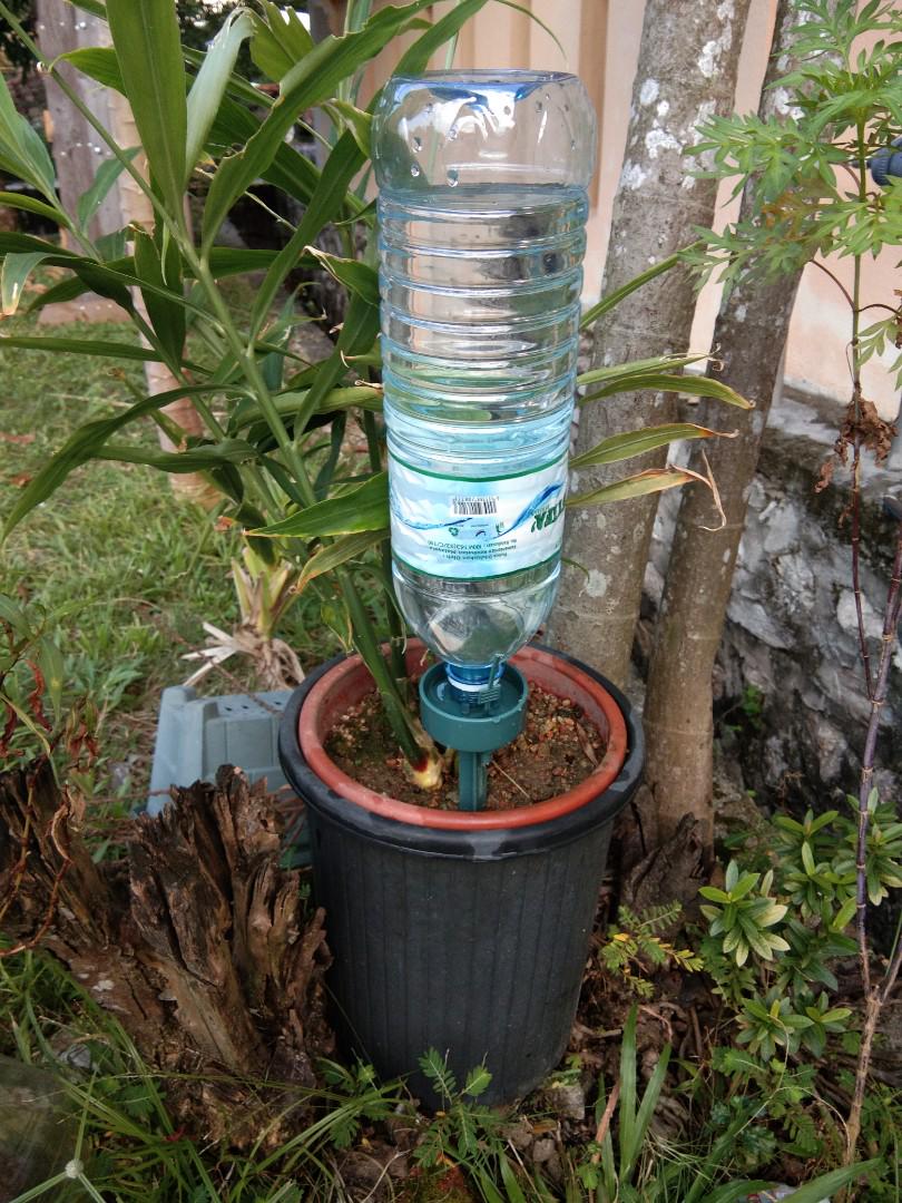 Automatic Self Watering Dripping Device Alatan Kebun Automatik Siram Tanaman Home Furniture Gardening On Carousell