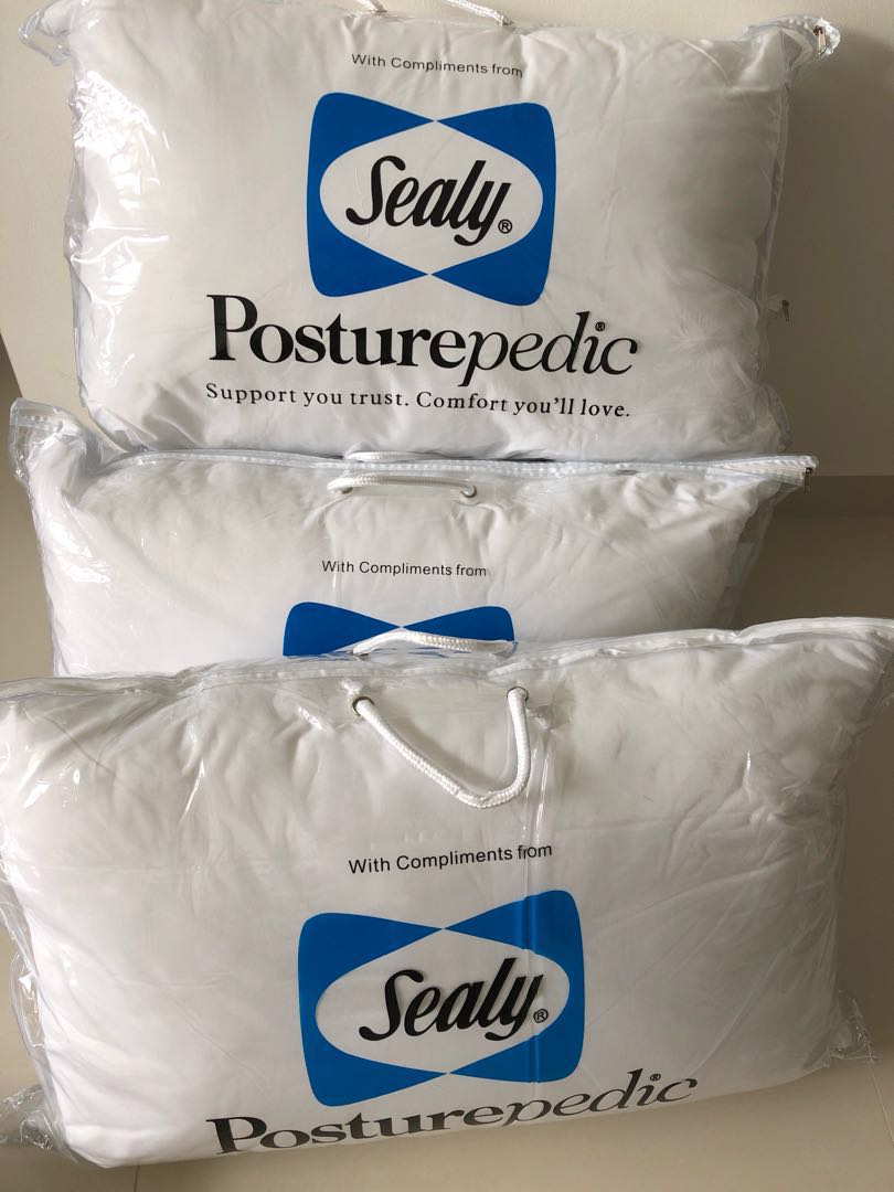 Sealy Comfy Premium Pillow Furniture Home Living Bedding