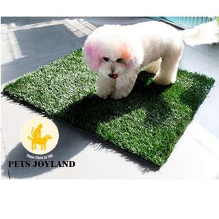 (Category: ) located in . Submitted by petsjoyland (Listing ID 189474308, Image 1). Description: .