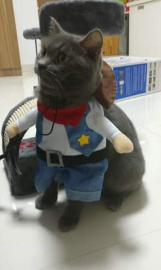 Cat cowboy outfit top