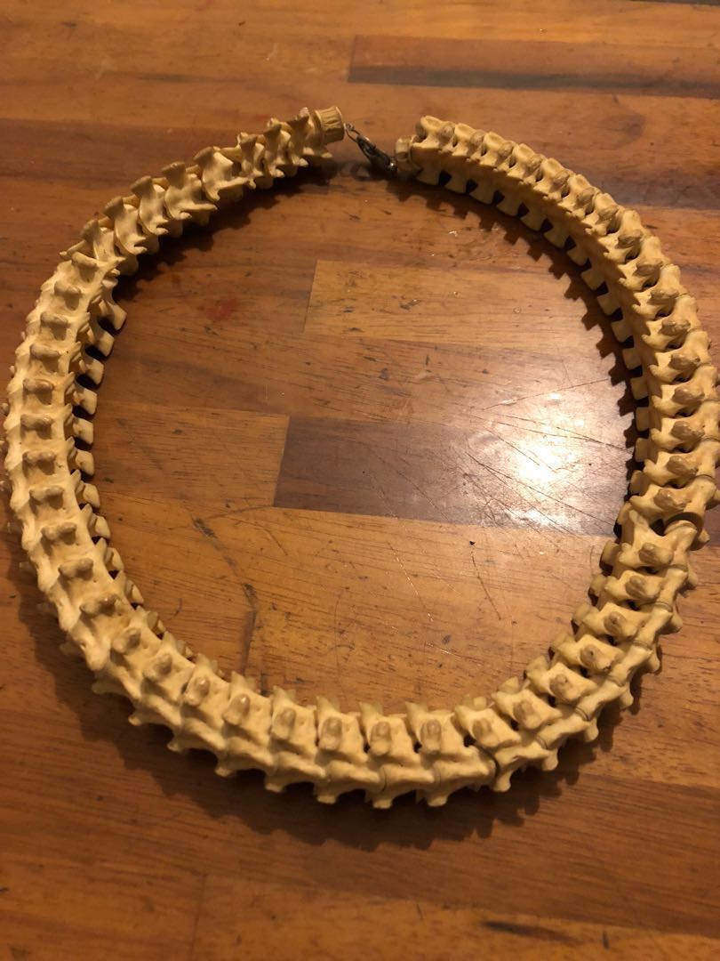 Snake on sale bones jewelry