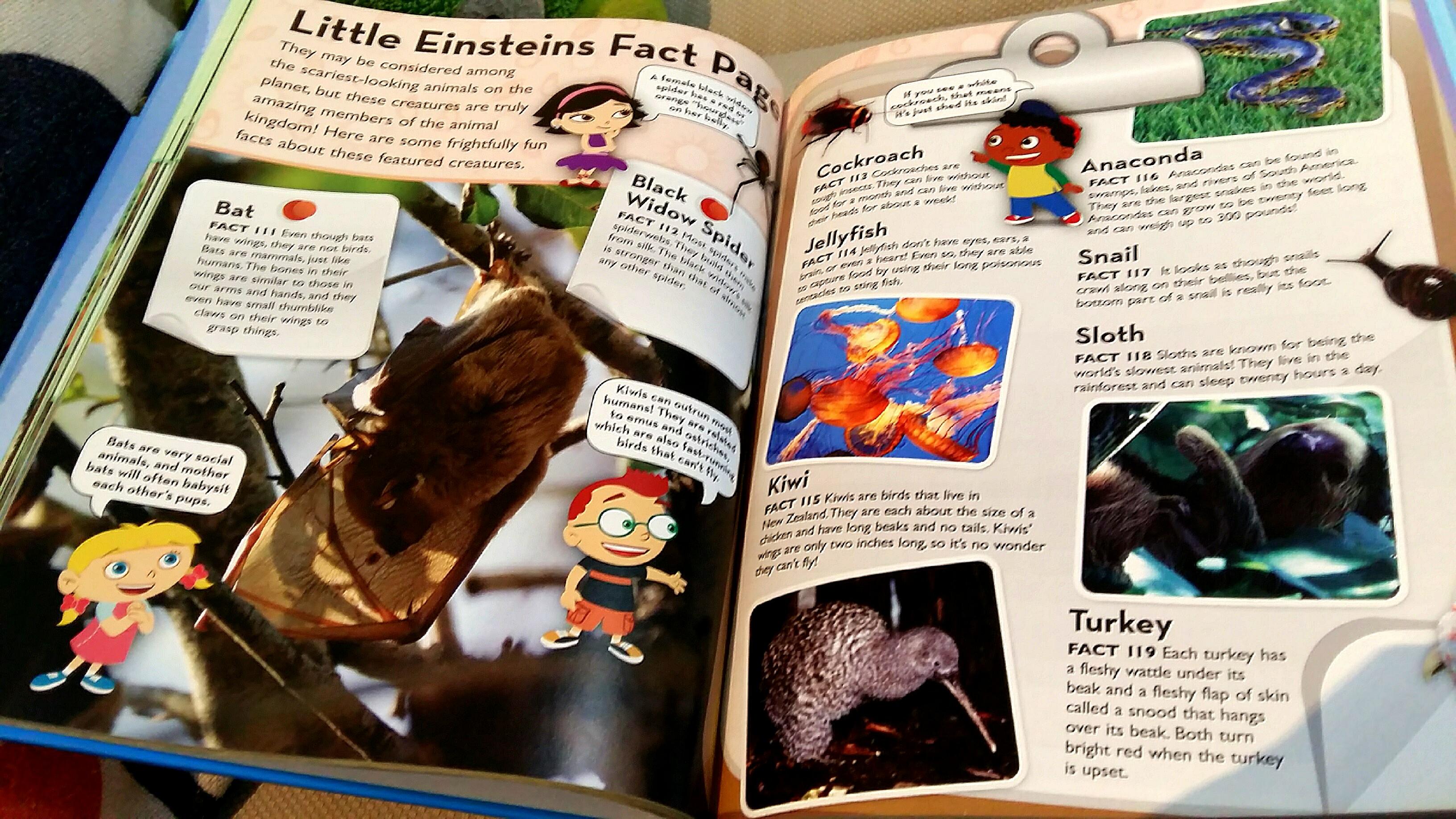 Playhouse Disney Encyclopedia, Hobbies & Toys, Books & Magazines