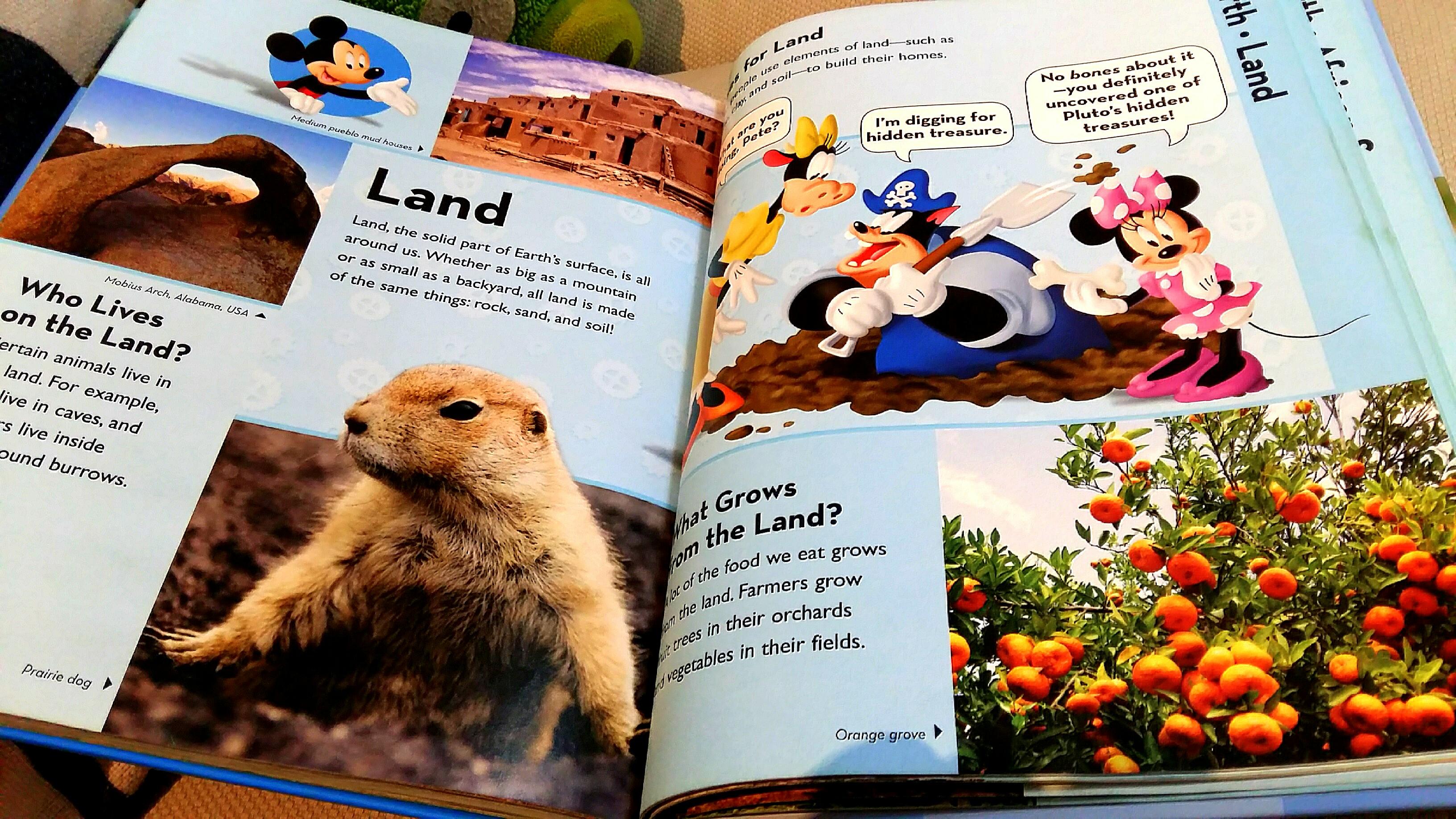 Playhouse Disney Encyclopedia, Hobbies & Toys, Books & Magazines