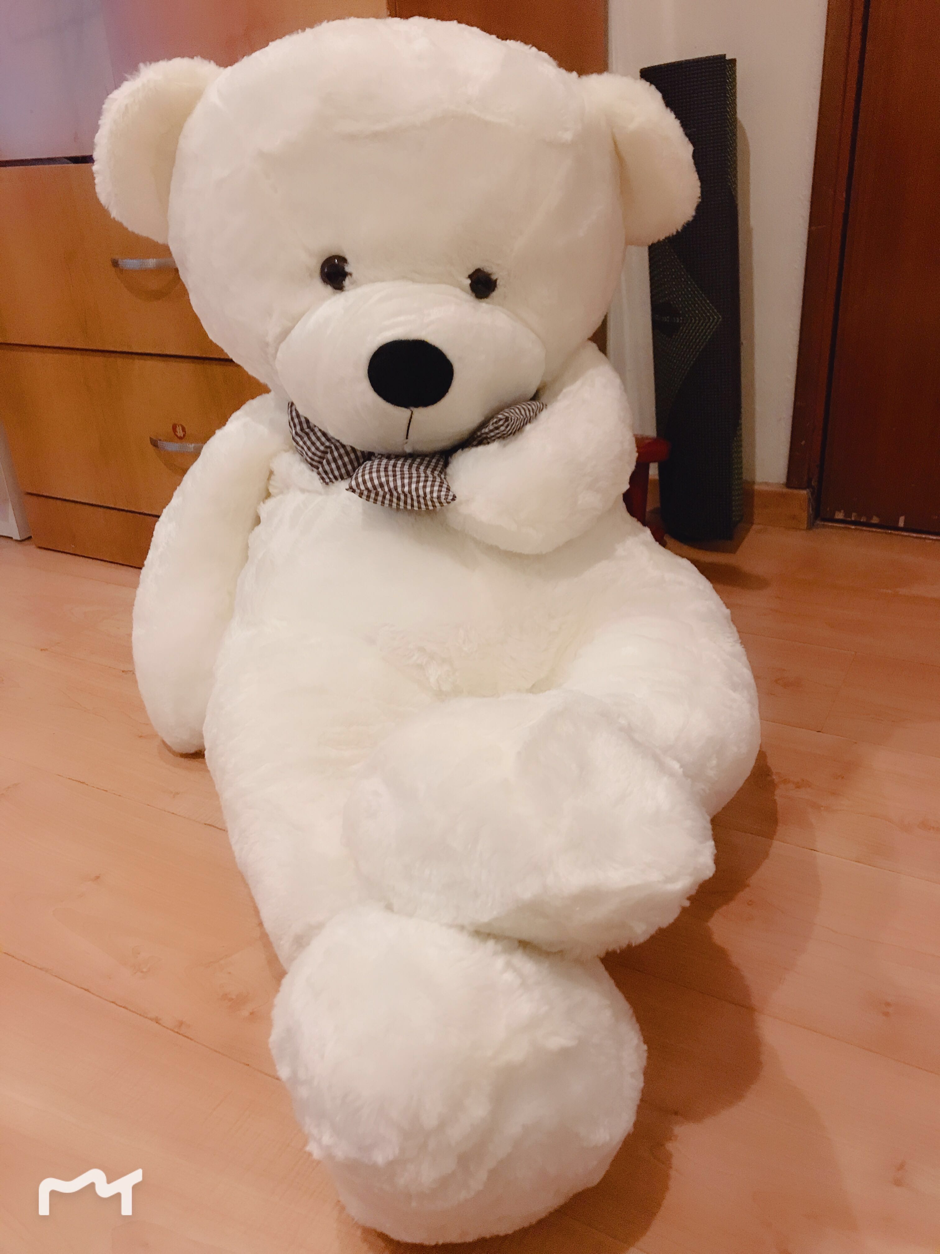 white teddy bear toy
