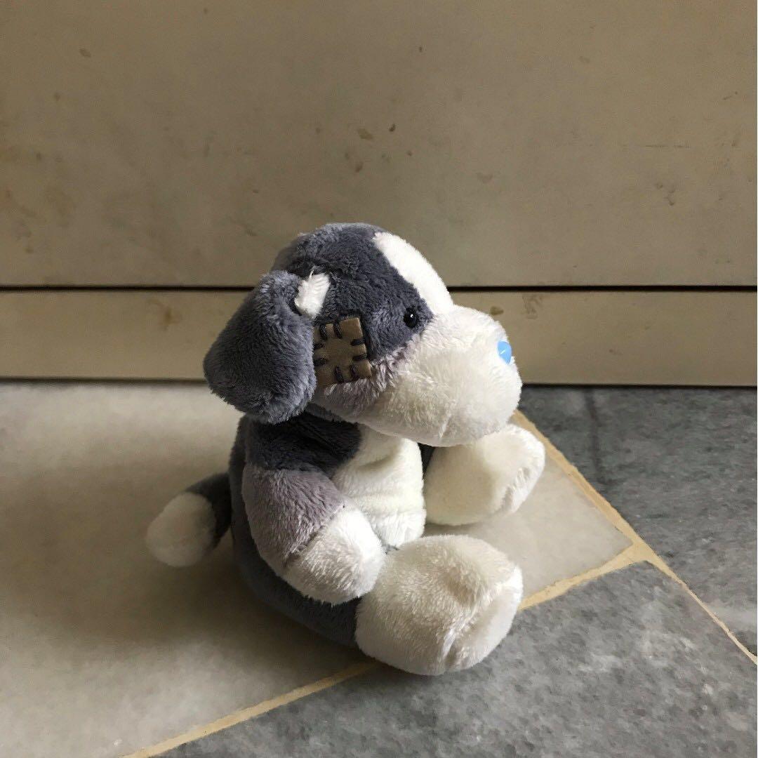 Tatty teddy dog deals