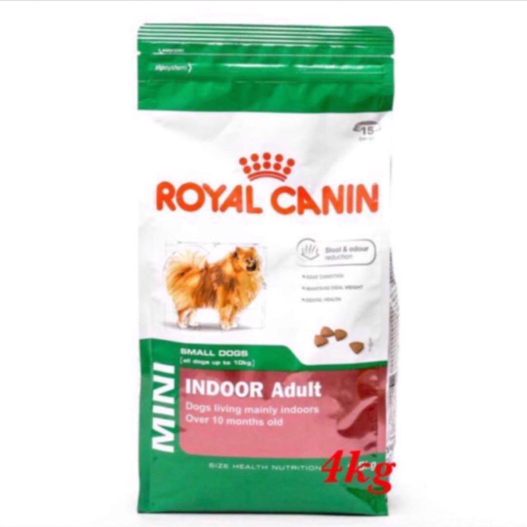 Royal Canin Mini Indoor Adult 4kg Pet Supplies For Dogs Dog Food On Carousell