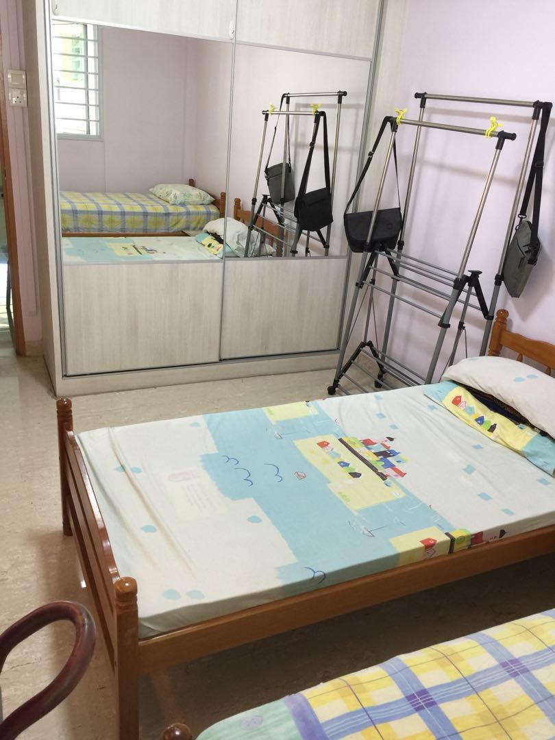 Single Seahorse Mattress On Sale Furniture Beds Mattresses On