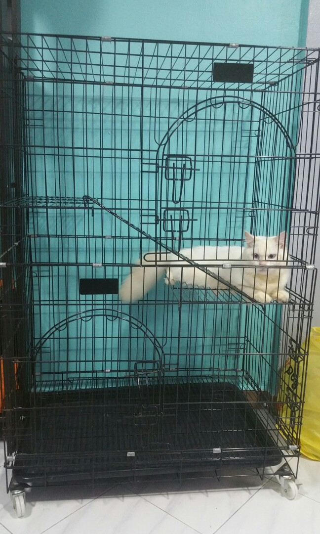 cat cage with litter tray
