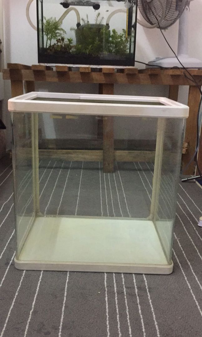Curve Glass Aquarium