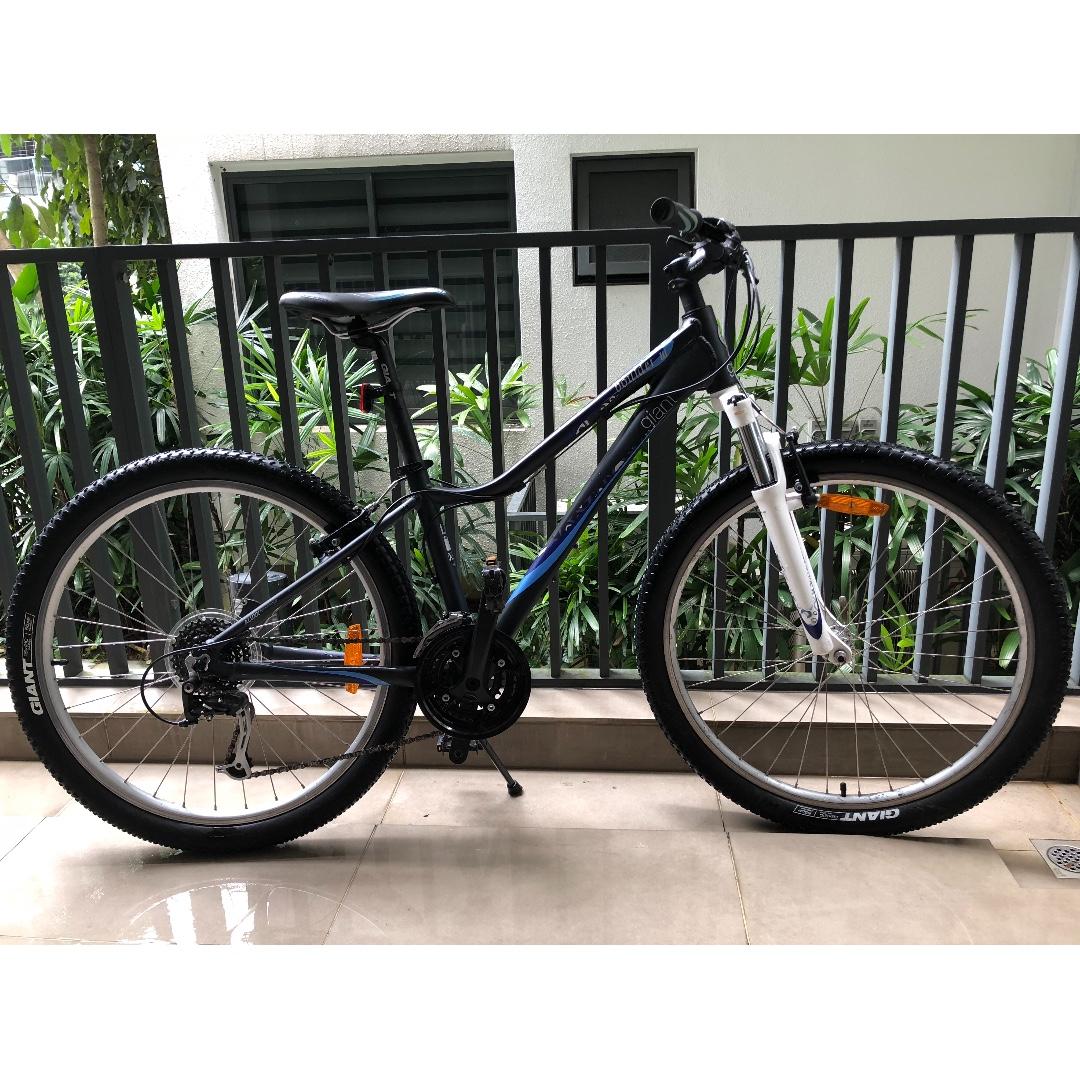 Giant extra small mountain bike on sale