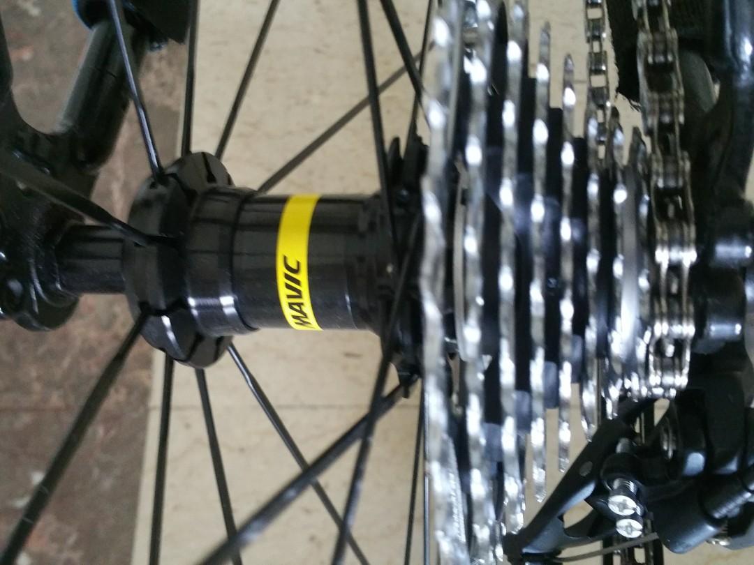 Haro escape comp store
