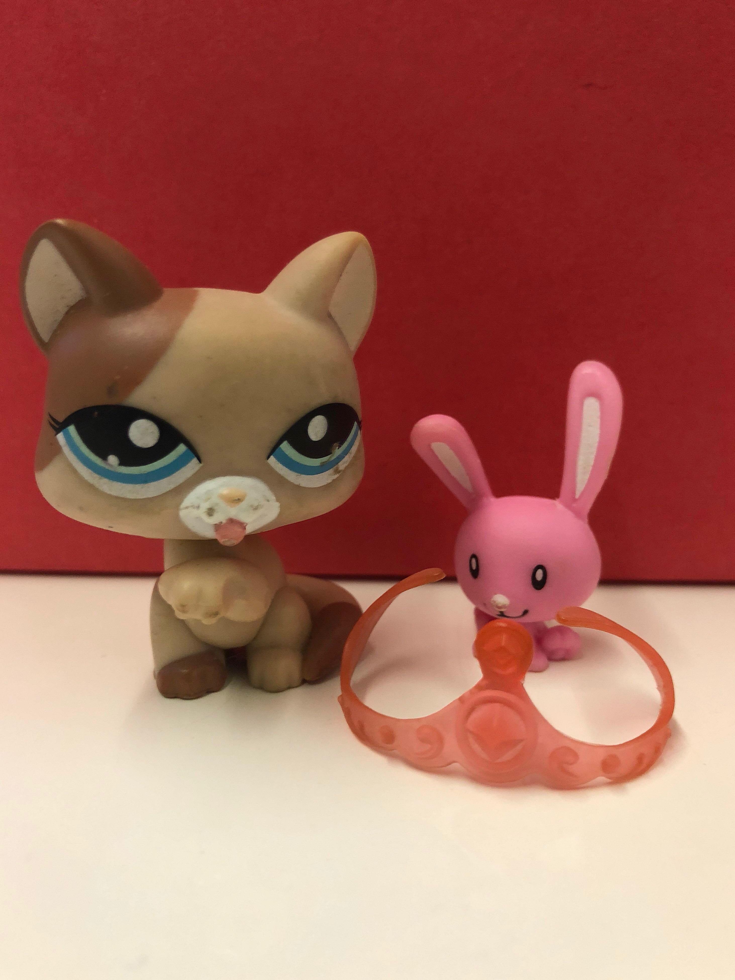 Littlest Pet Shop Brown ShortHair Cat Rare Hobbies Toys Toys Games on Carousell