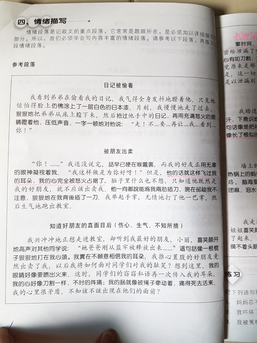 O Level Chinese Composition Letter Writing Hobbies Toys Books Magazines Assessment Books On Carousell