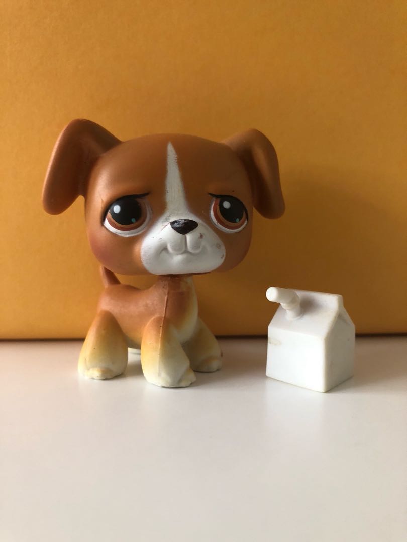 Lps boxer puppy outlet