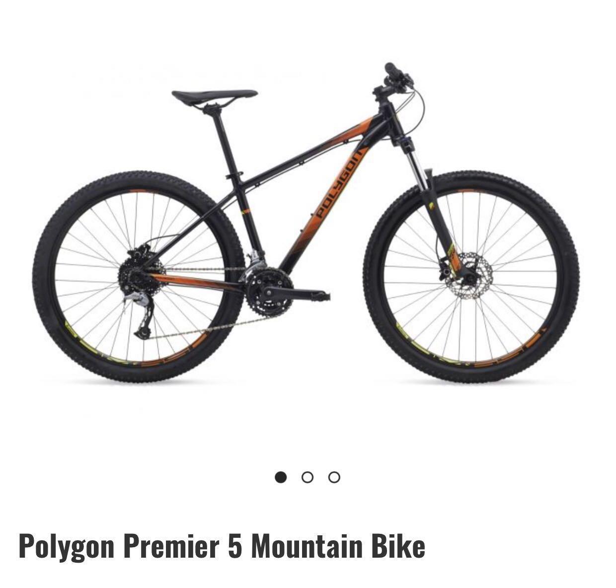 polygon fat bike