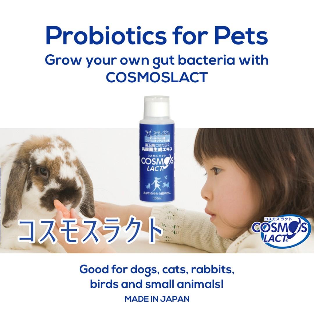 probiotics for rabbits